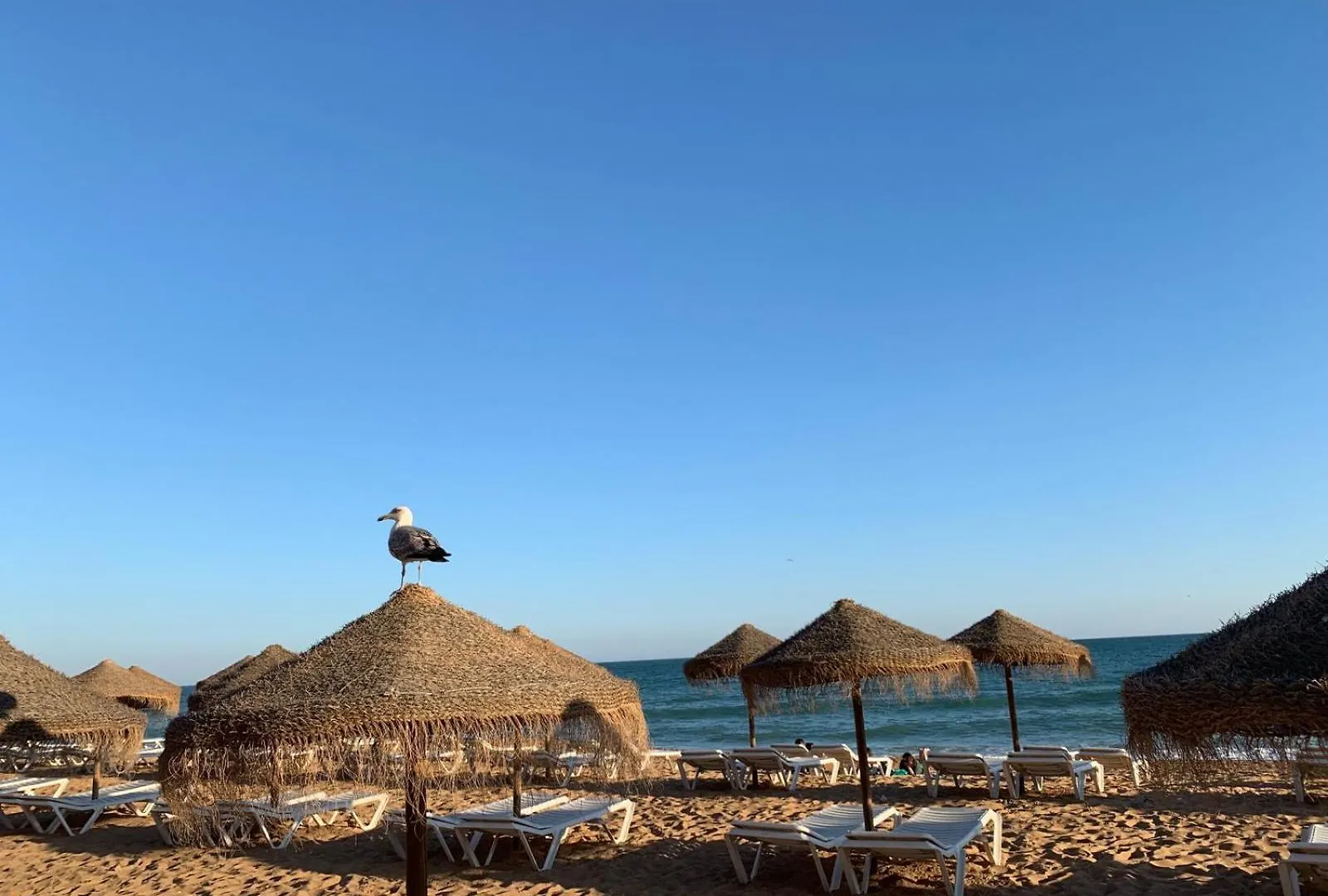 Olimar Sea View Apartment Albufeira